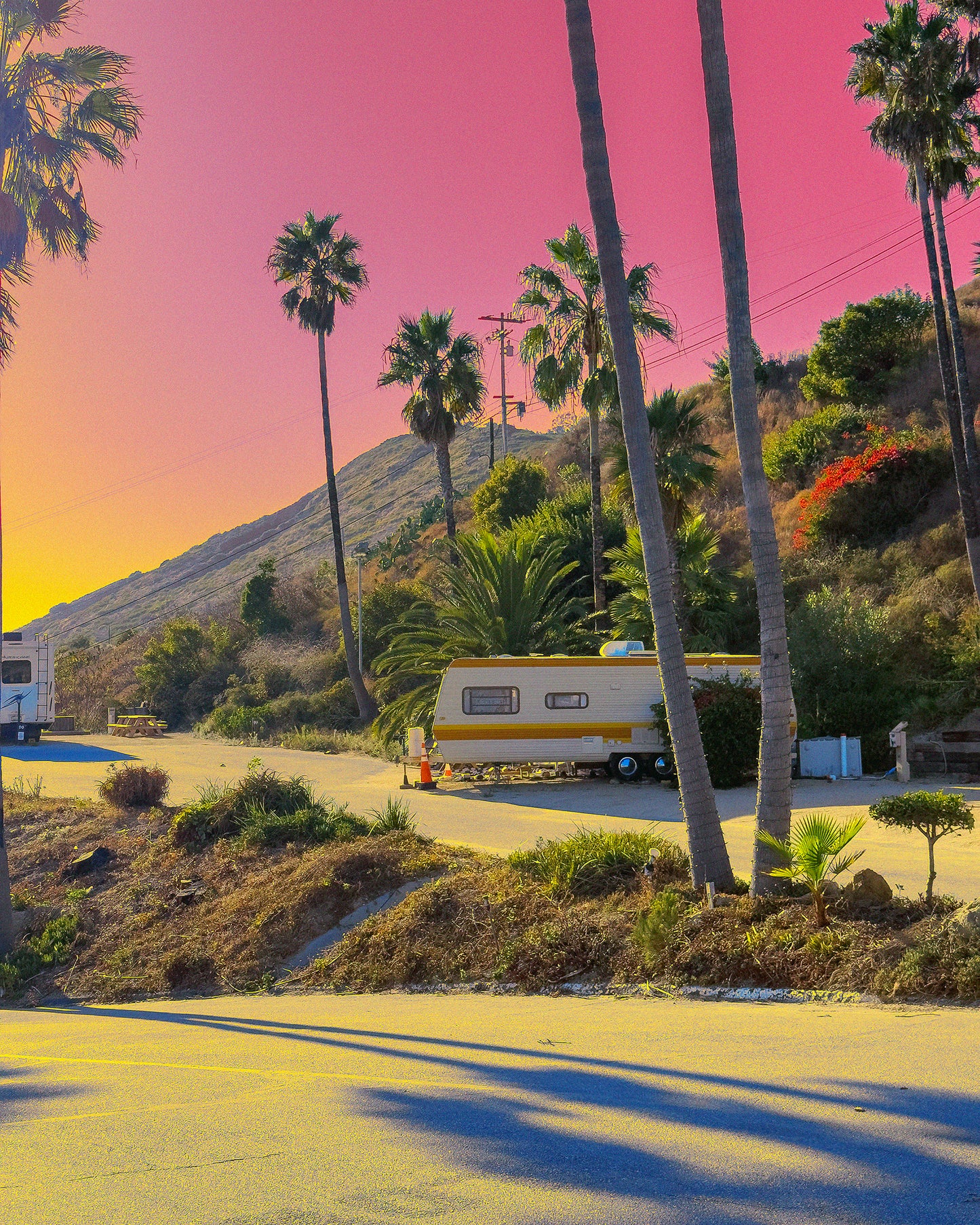 Scenic view of a camper parked among palm trees with a pink sky.