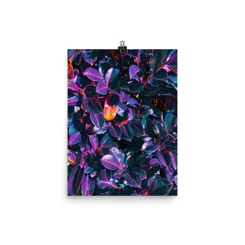 Poster - Shimmerleaf