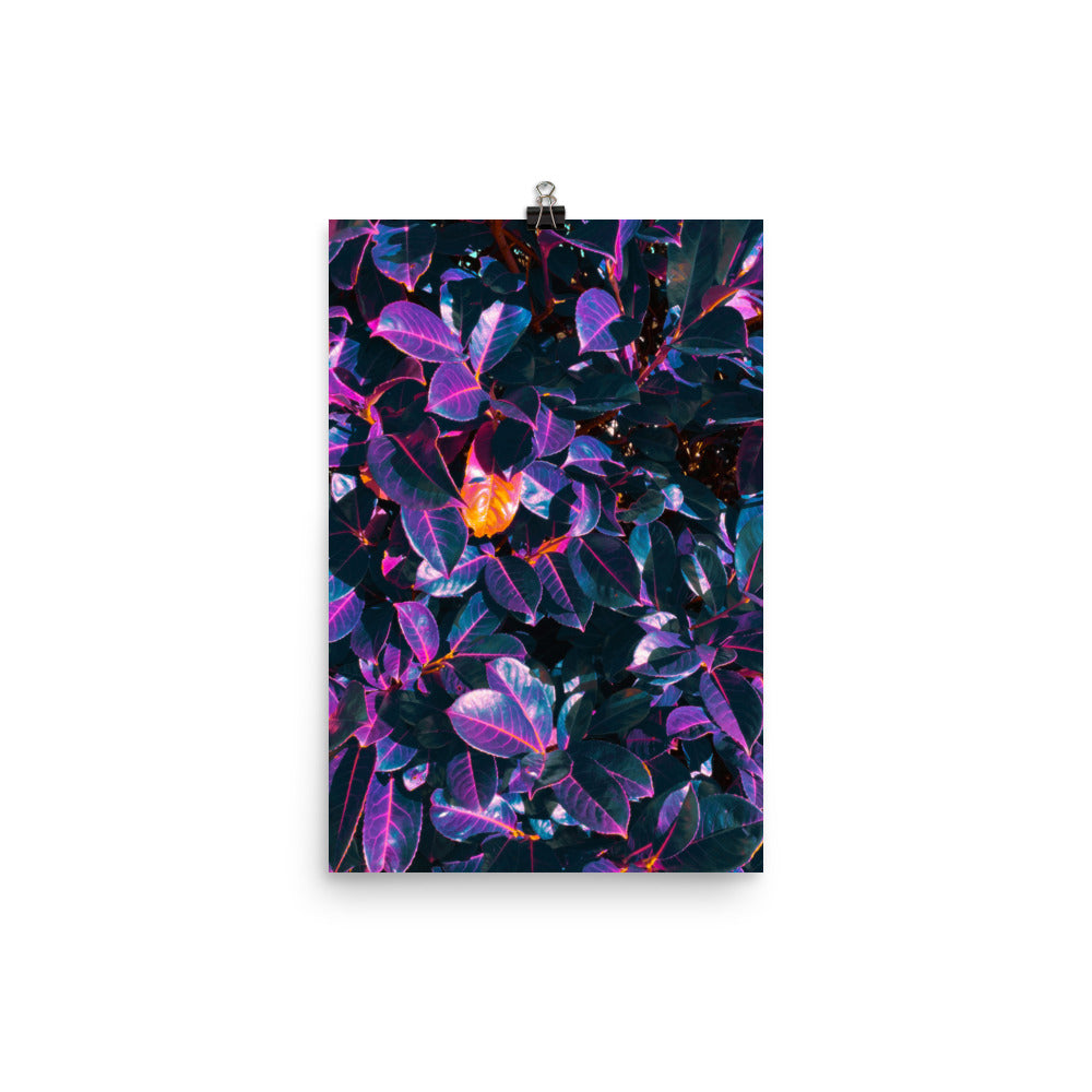 Poster - Shimmerleaf