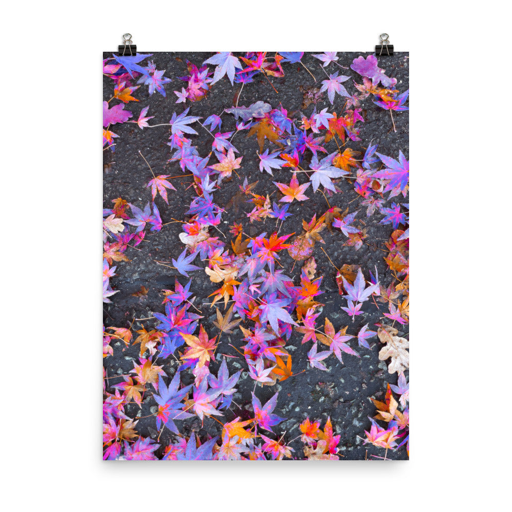 Poster - Fallen Stars