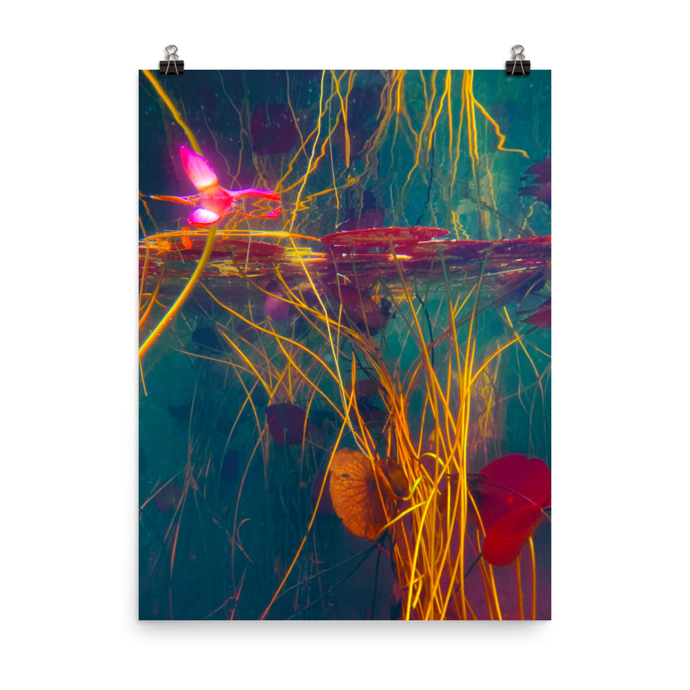 Poster - Intravenous
