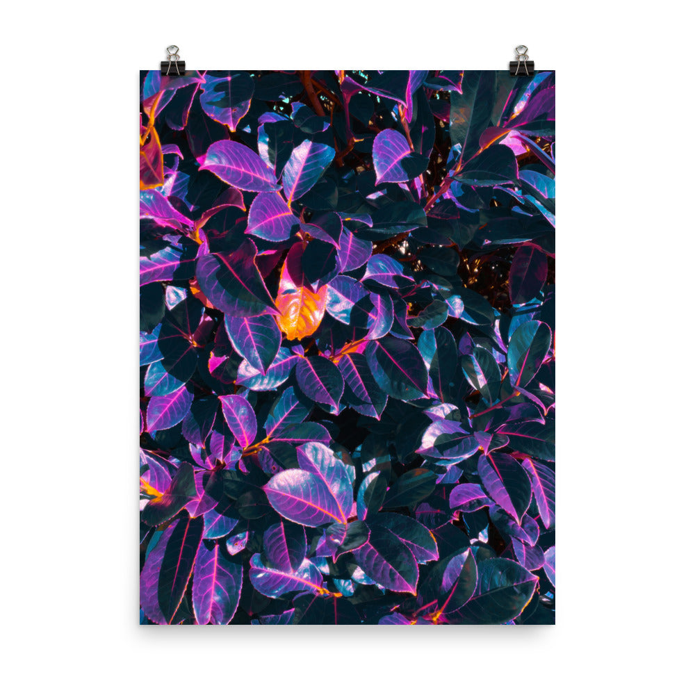 Poster - Shimmerleaf