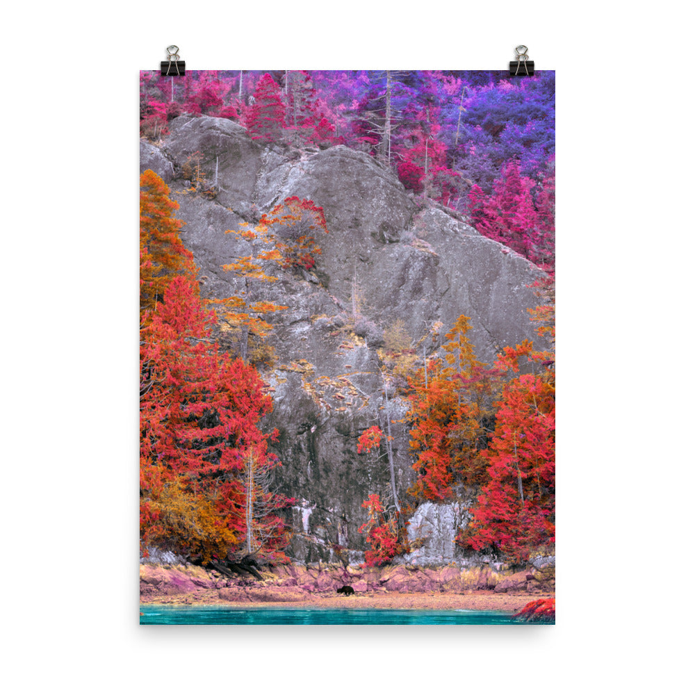 Poster - Everblossom Forest