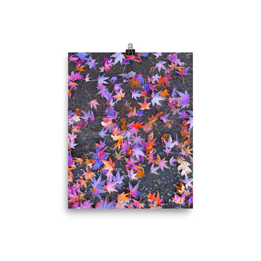 Fallen Stars - Fine Art Poster Print