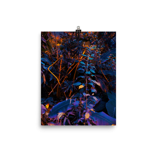 Etherleaf - Fine Art Poster Print