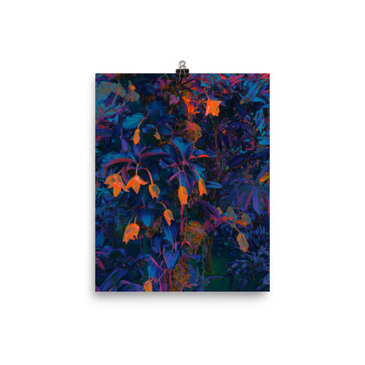 Marsh of Azure - Fine Art Poster Print