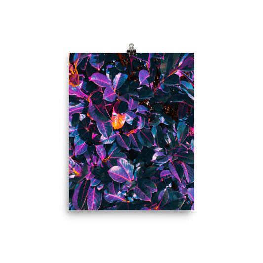 Shimmerleaf - Fine Art Poster Print