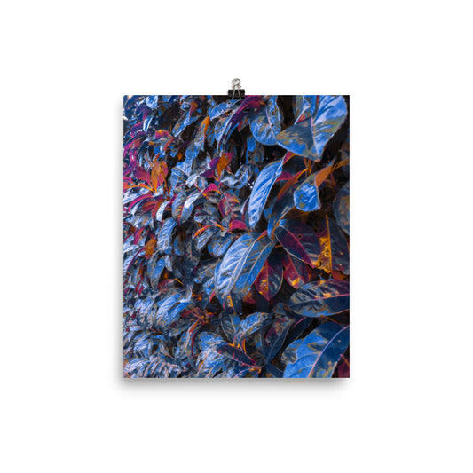 The Idyllic Burrow - Fine Art Poster Print