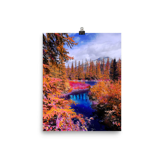 Midnight Ink - Fine Art Poster Print