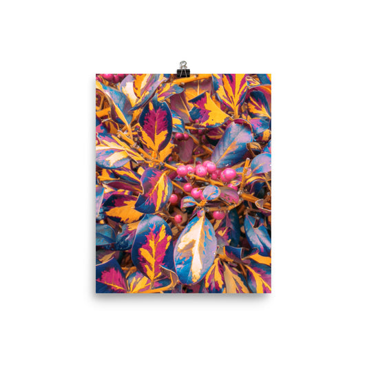 Perfectly Edible - Fine Art Poster Print