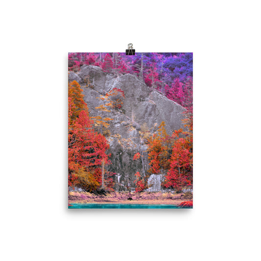 Everblossom Forest - Fine Art Poster Print