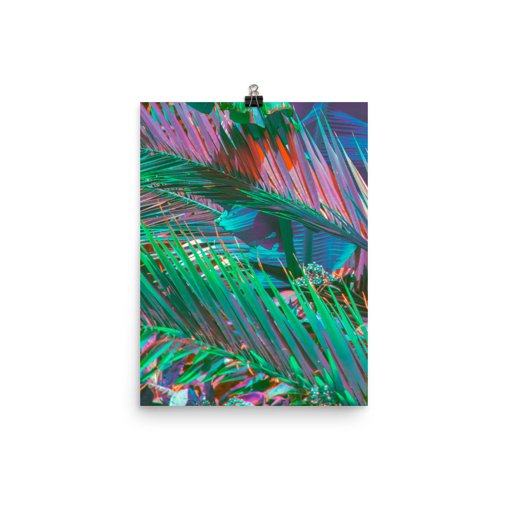 Poster - Palms of Paradise