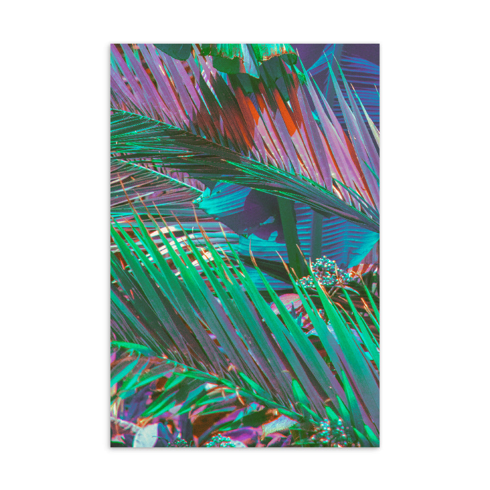 Standard Postcard - Palms of Paradise