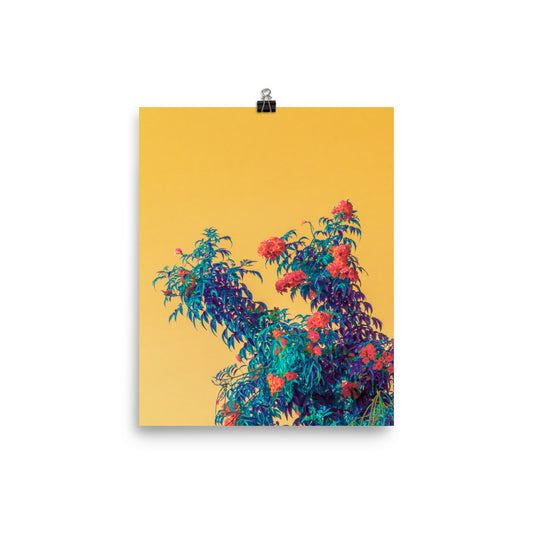 Overgrowth - Fine Art Poster Print