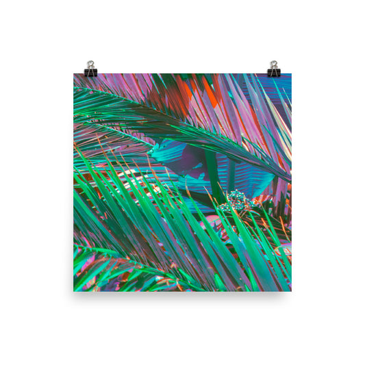 Poster - Palms of Paradise