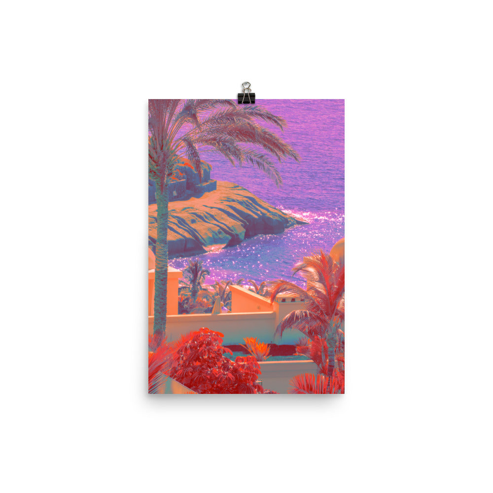 Poster - Fields of Lavender