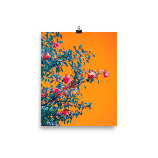Oasis - Fine Art Poster Print
