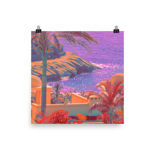 Poster - Fields of Lavender