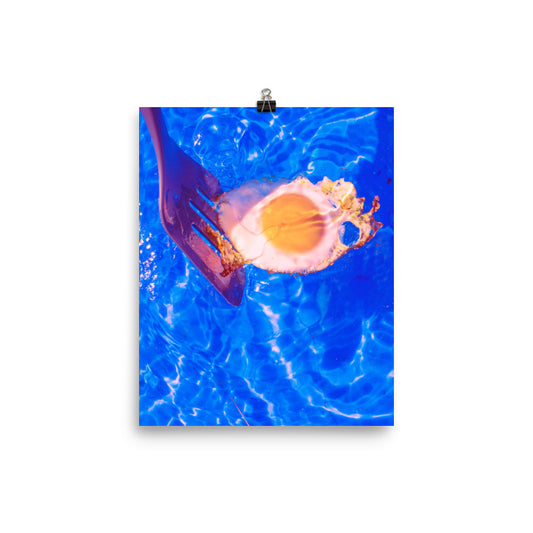 Sunny Side Up - Fine Art Print