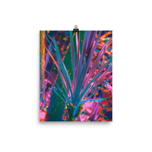 Prismatic Meteor - Fine Art Poster Print