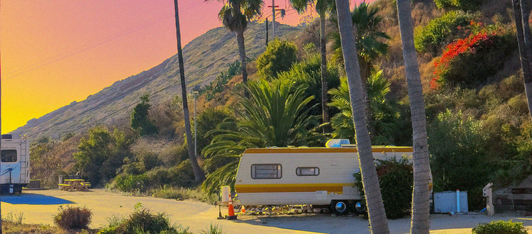 Surfing Malibu