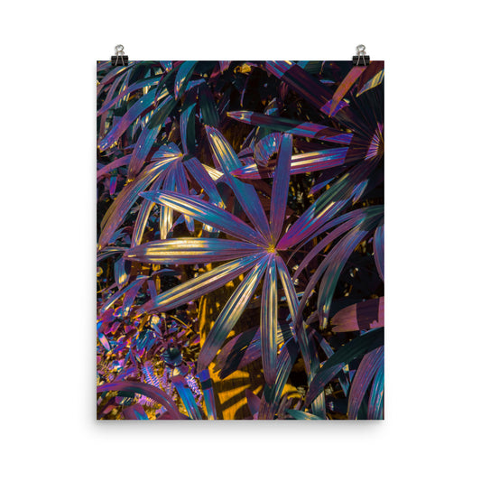 Vietnam vaporwave jungle photography poster print by Nathan Head.