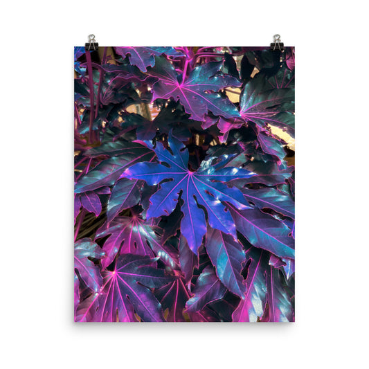 Poster print of surreal botanical fine art photography, deep teal and purple begonia leaves with glowing magenta veins, maximalist wall art for living room or bedroom