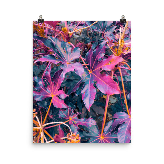 Unframed fine art botanical poster print of large star-shaped leaves with glowing copper and rose-pink veins against deep teal-purple foliage, with clusters of amber berries.