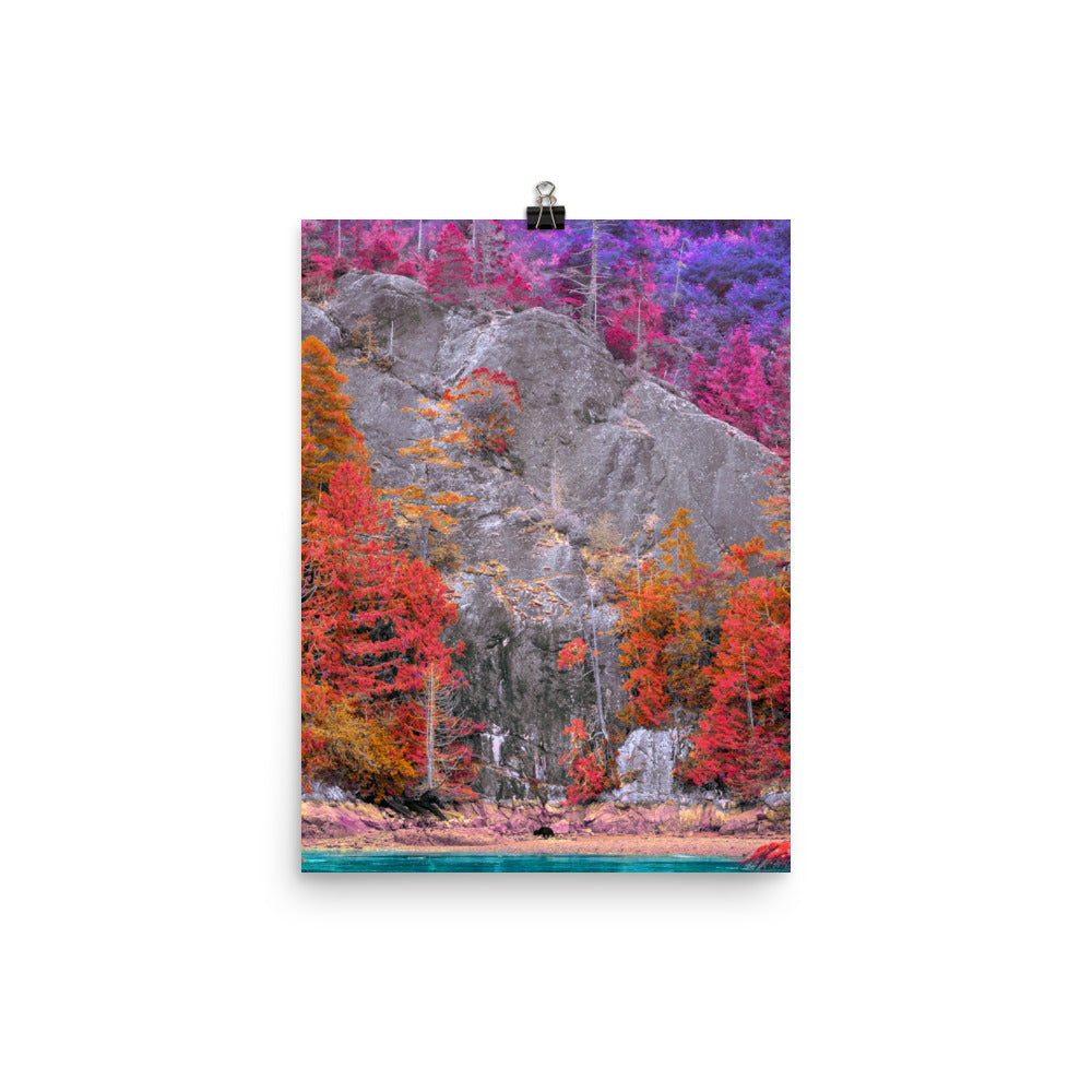 Poster - Everblossom Forest