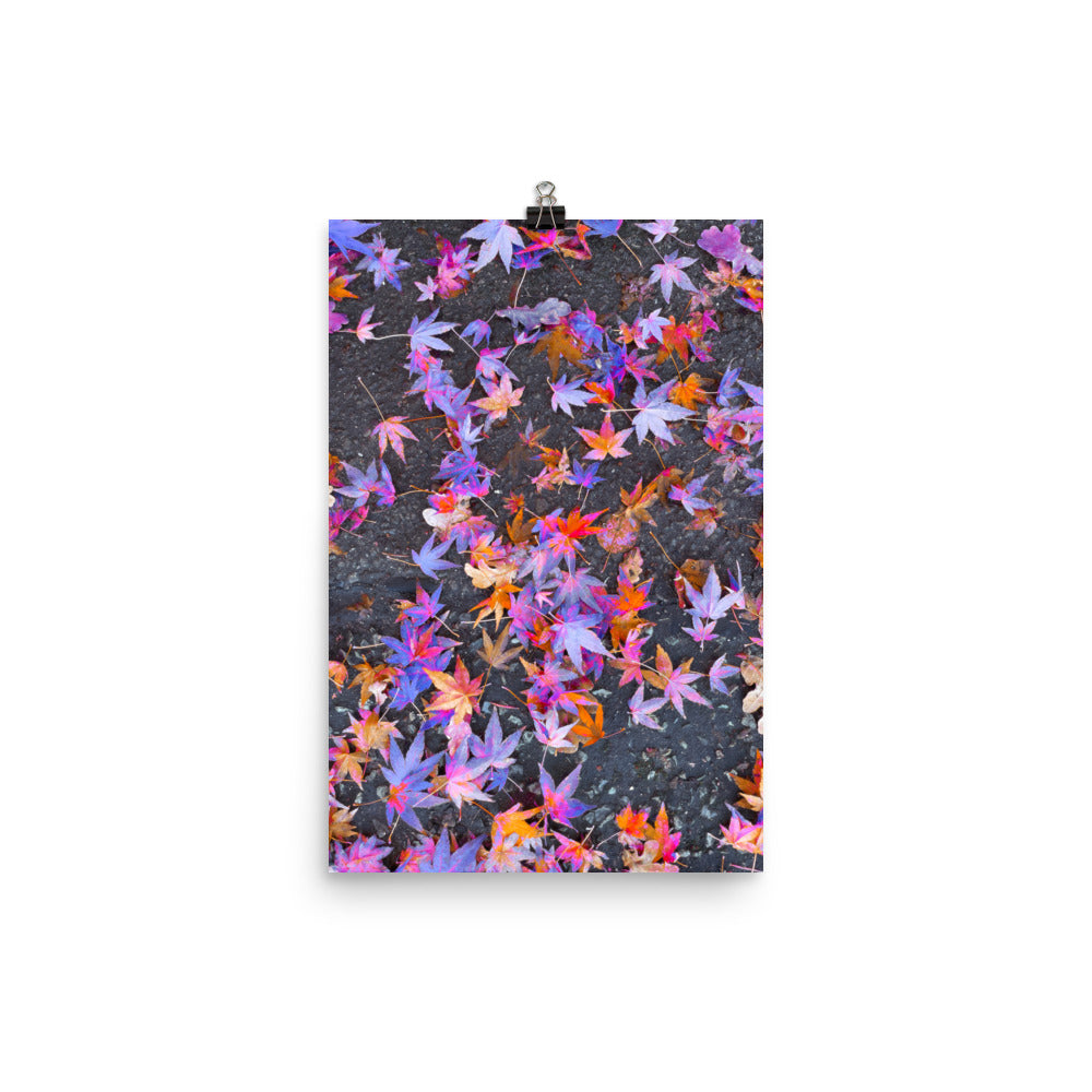 Poster - Fallen Stars