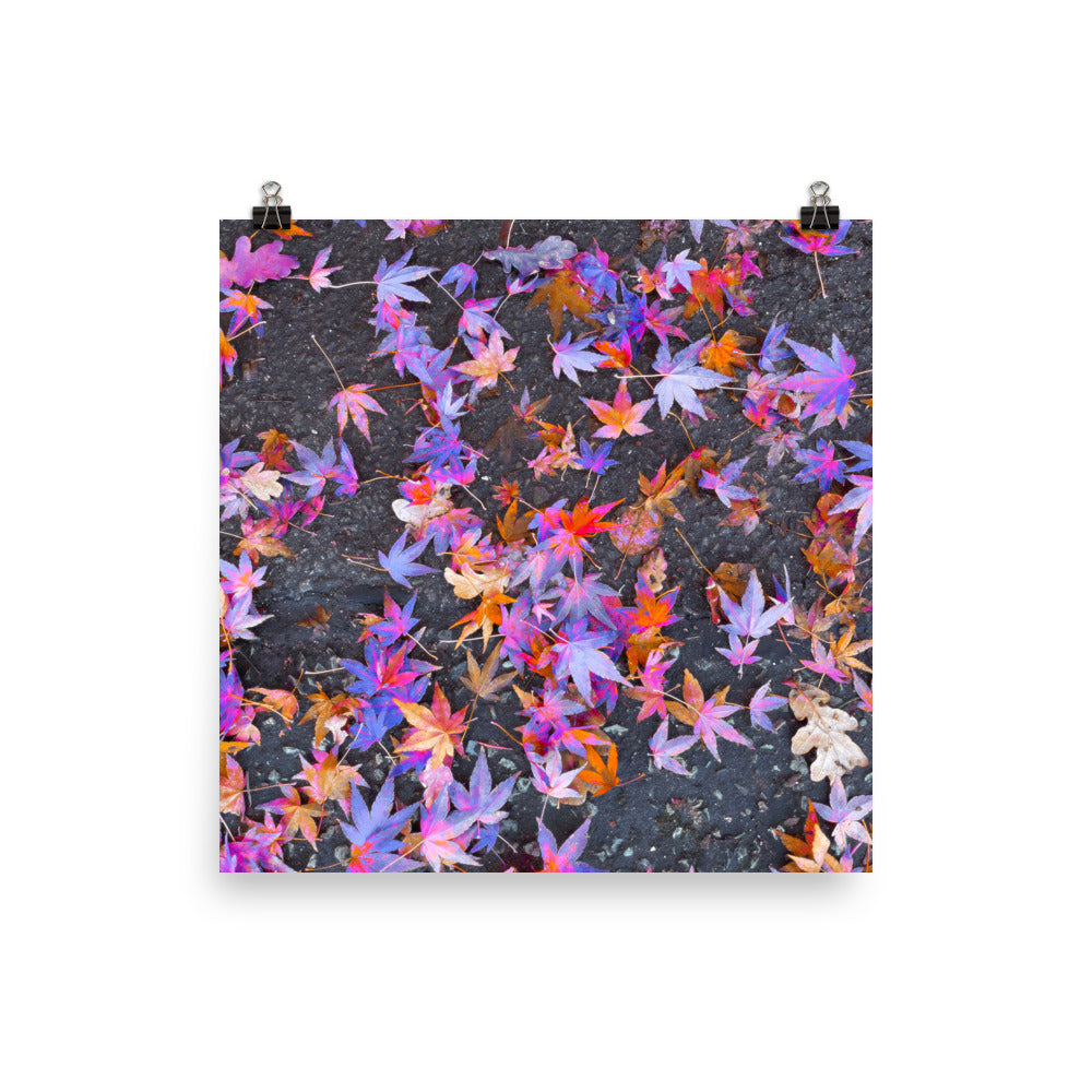 Poster - Fallen Stars