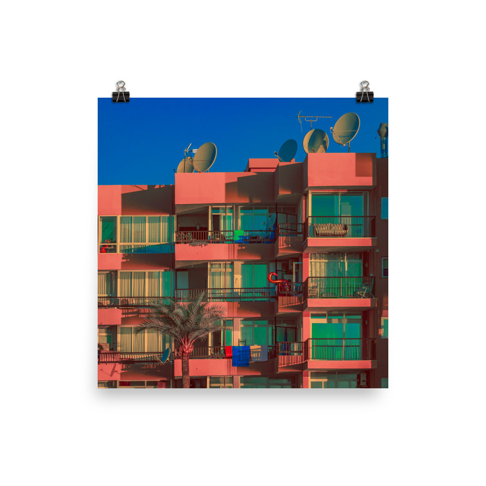 Poster - Royal Blush