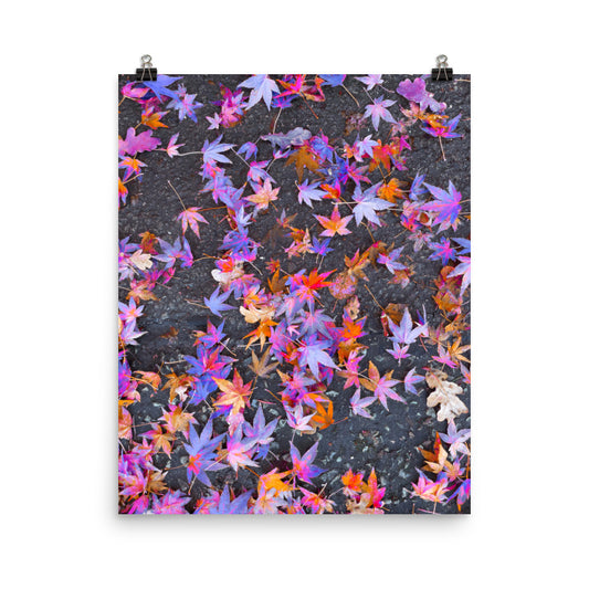 Autumn colourful leaves photography poster print by Nathan Head.