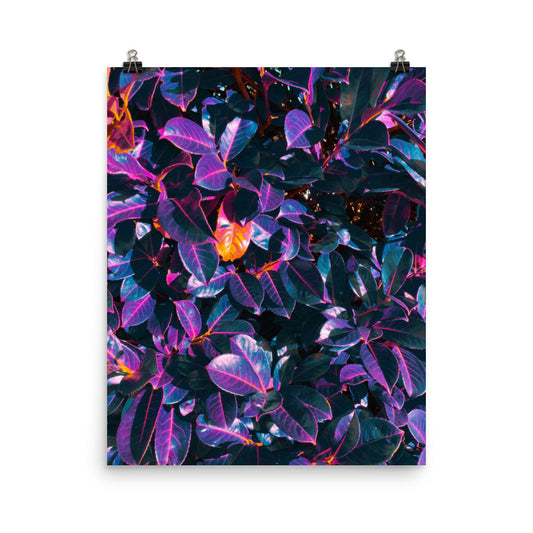 Magical purple blue leaves photography poster print by Nathan Head.