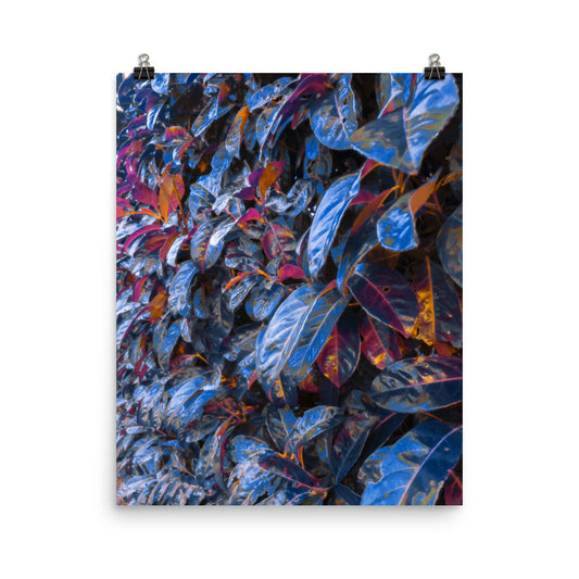Magic blue purple leaves photography poster print by Nathan Head.