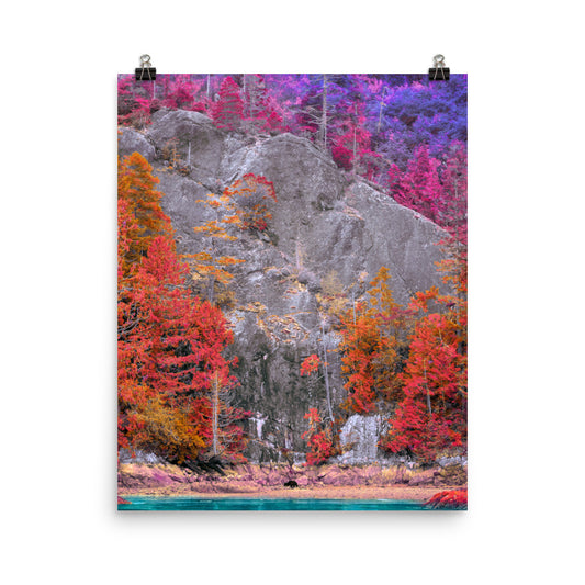 Canada spring painting forest photography poster print by Nathan Head.