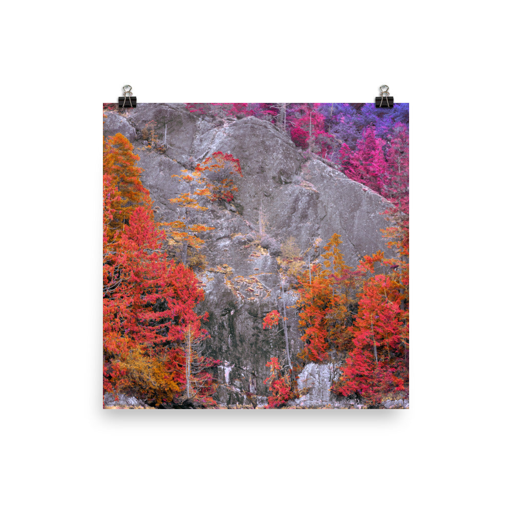 Poster - Everblossom Forest