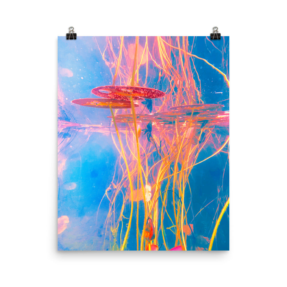 Poster - Ecosystematic