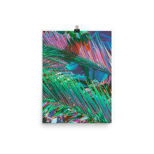 Poster - Palms of Paradise