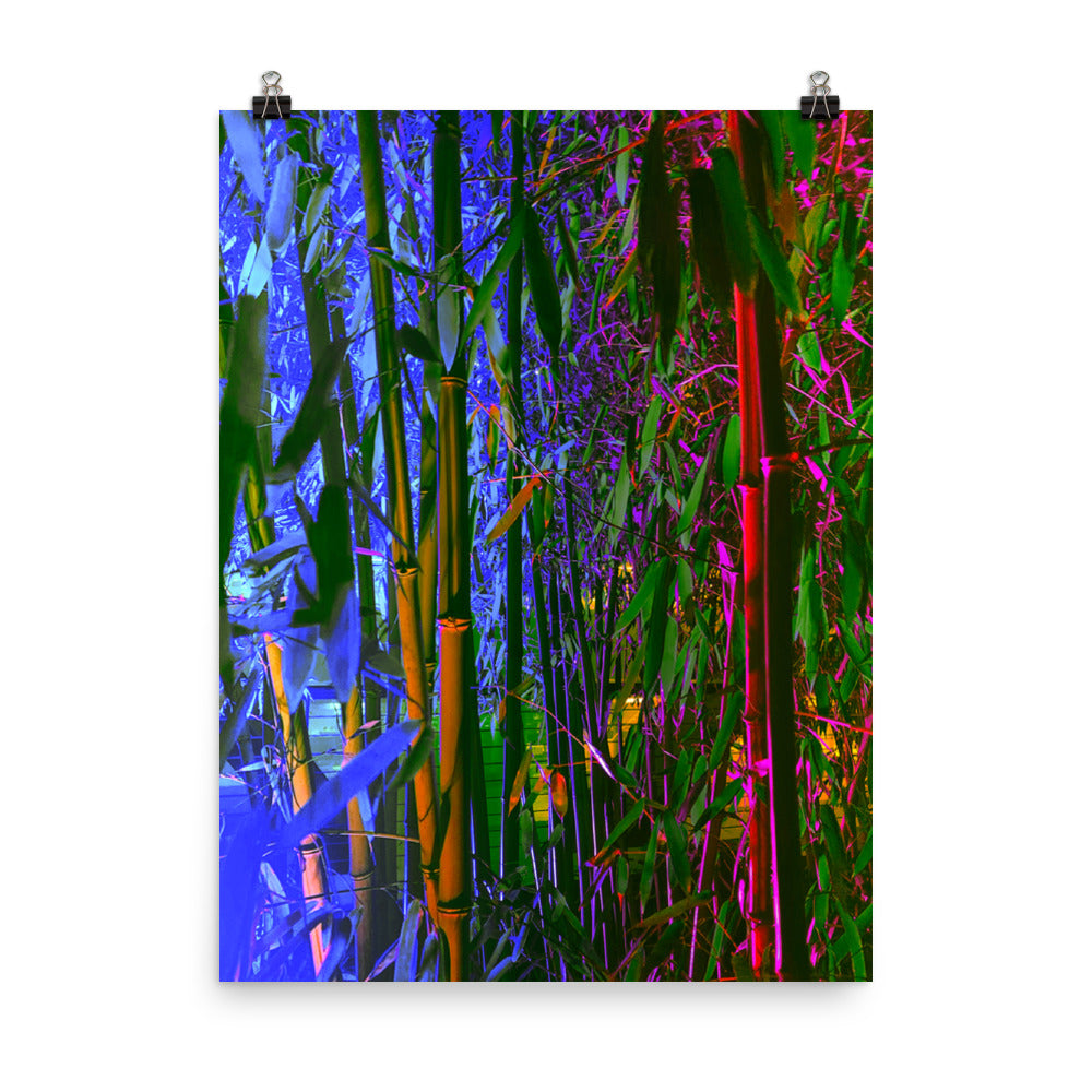 Poster - Renewed Vitality