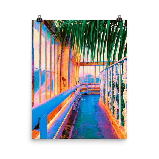 Vaporwave jungle conservatory photography poster print by Nathan Head.