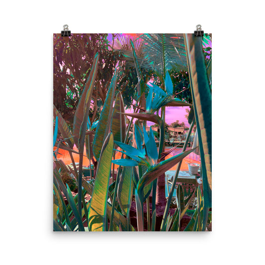 Vaporwave tropical plants photography poster print by Nathan Head.
