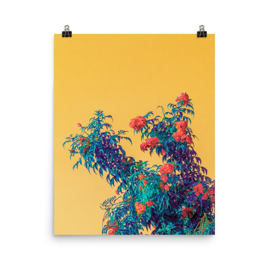 Abstract yellow flowers photography poster print by Nathan Head.