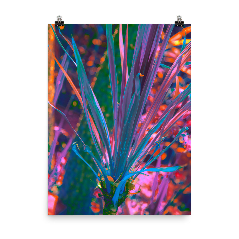 Poster - Prismatic Meteor