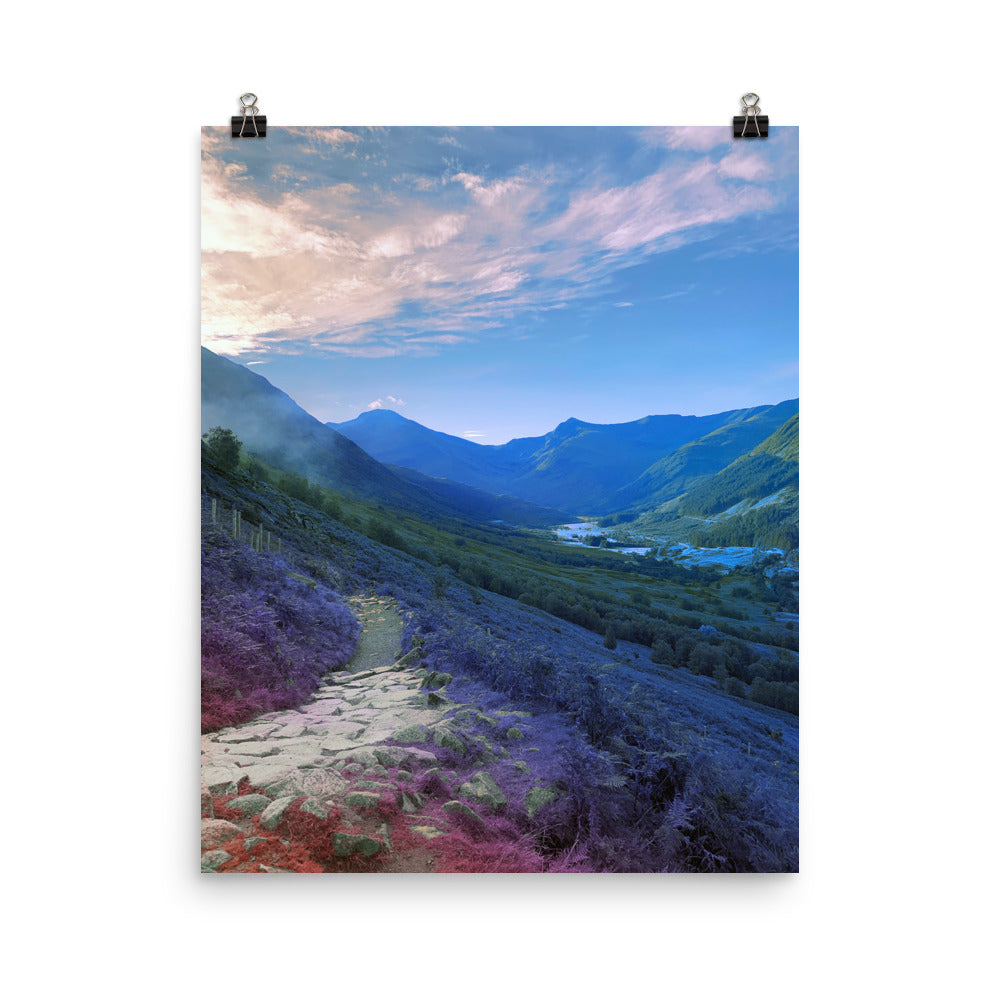 Poster - The Land Turned Blue