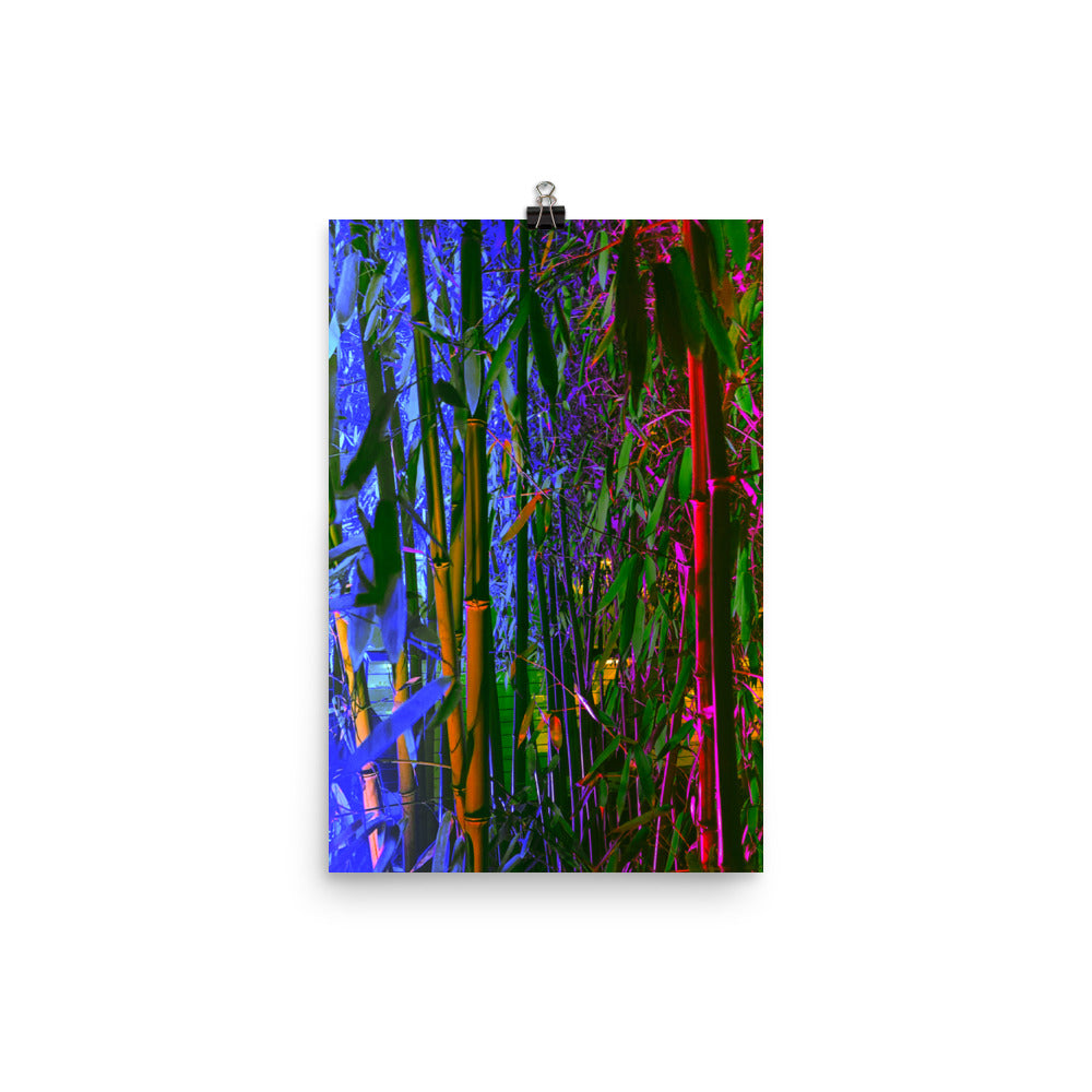 Poster - Renewed Vitality