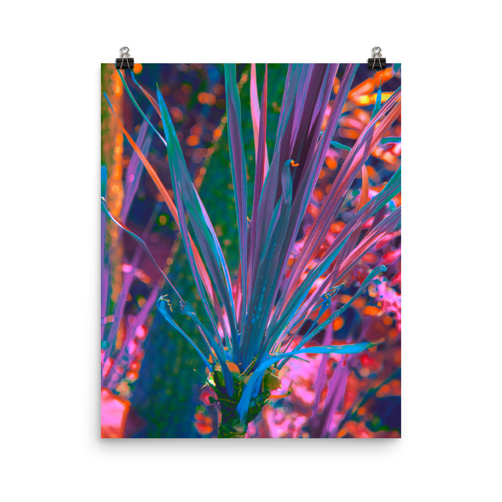 Poster - Prismatic Meteor