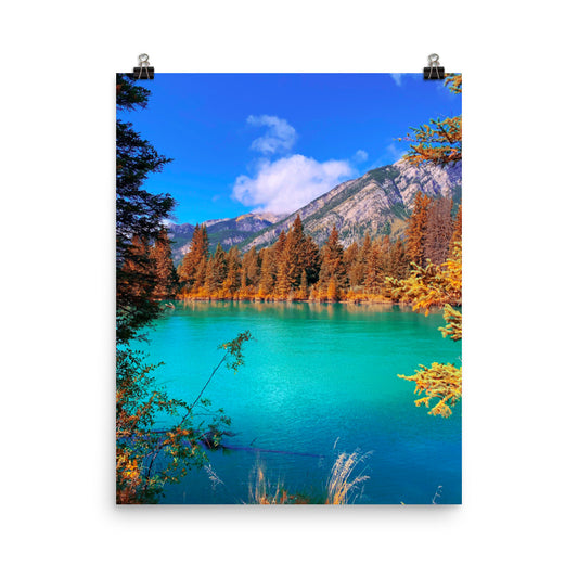 Canada lake forest photography poster print by Nathan Head.