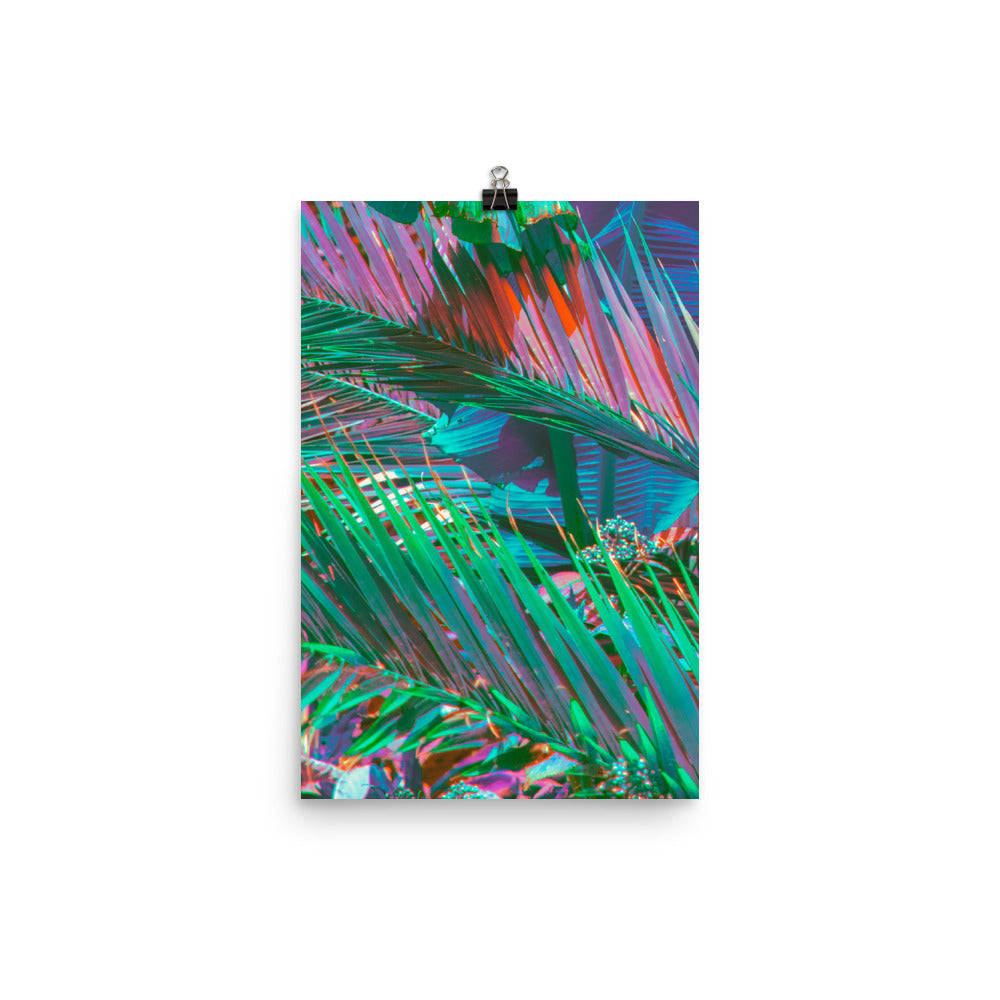 Poster - Palms of Paradise