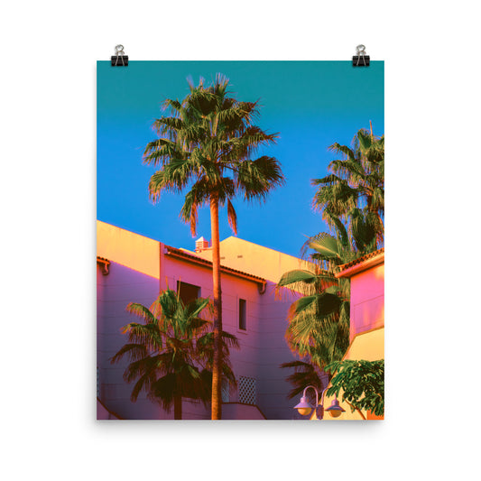 Vaporwave colourful palm trees photography poster print by Nathan Head.
